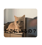 chaco！！！（個別スタンプ：9）