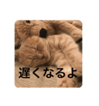 chaco！！！（個別スタンプ：12）
