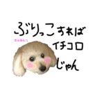 時々イカつい犬スタンプ（個別スタンプ：6）