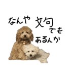 時々イカつい犬スタンプ（個別スタンプ：7）