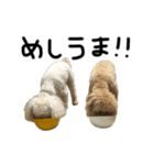 時々イカつい犬スタンプ（個別スタンプ：8）
