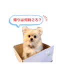 るるがきた。①（個別スタンプ：7）
