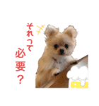 るるがきた。①（個別スタンプ：8）