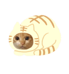 サンカクファンクラブ（個別スタンプ：4）
