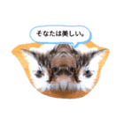 サンカクファンクラブ（個別スタンプ：7）