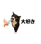 靴下猫のソックス＆タイツ♂（個別スタンプ：9）
