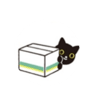 クロネコと白猫（個別スタンプ：5）