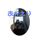 ハスキーソマリ三姉妹（個別スタンプ：28）