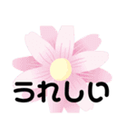 文字ハッキリ日常スタンプ（個別スタンプ：5）