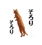 ねこのめいちゃん2（個別スタンプ：14）