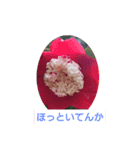 後ろ向きな関西弁（個別スタンプ：2）