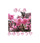 後ろ向きな関西弁（個別スタンプ：3）