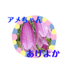 後ろ向きな関西弁（個別スタンプ：4）