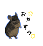 ここあんどぽんた（個別スタンプ：2）