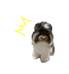 ここあんどぽんた（個別スタンプ：7）