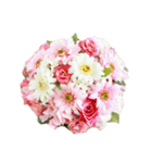 Flower/花（個別スタンプ：1）