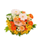 Flower/花（個別スタンプ：6）