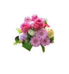 Flower/花（個別スタンプ：8）