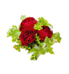 Flower/花（個別スタンプ：9）