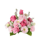 Flower/花（個別スタンプ：12）