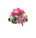 Flower/花（個別スタンプ：16）