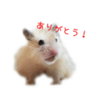 山崎はむたろと（個別スタンプ：2）