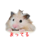 山崎はむたろと（個別スタンプ：5）