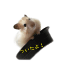 山崎はむたろと（個別スタンプ：7）