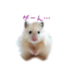 山崎はむたろと（個別スタンプ：13）