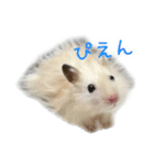 山崎はむたろと（個別スタンプ：15）