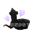 愛犬レンくん（個別スタンプ：6）