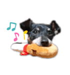愛犬レンくん（個別スタンプ：10）