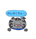 catcatcat3_kazusandraw（個別スタンプ：9）