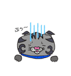 catcatcat3_kazusandraw（個別スタンプ：10）