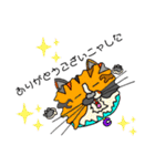 catcatcat3_kazusandraw（個別スタンプ：13）