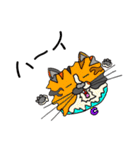 catcatcat3_kazusandraw（個別スタンプ：14）