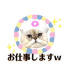 猫達の日々の研究所用スタンプ（個別スタンプ：7）