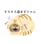 猫達の日々の研究所用スタンプ（個別スタンプ：9）
