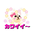 猫達の日々の研究所用スタンプ（個別スタンプ：12）