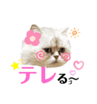 猫達の日々の研究所用スタンプ（個別スタンプ：14）