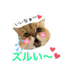 猫達の日々の研究所用スタンプ（個別スタンプ：20）