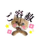 猫達の日々の研究所用スタンプ（個別スタンプ：22）
