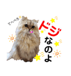 猫達の日々の研究所用スタンプ（個別スタンプ：26）