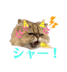 猫達の日々の研究所用スタンプ（個別スタンプ：32）