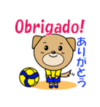 バレーボール犬 ポルトガル語と日本語（個別スタンプ：2）