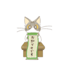 キジトラ猫の福（個別スタンプ：16）