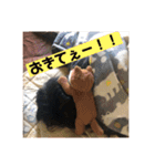 ブッタと田中のスタンプ①（個別スタンプ：3）