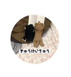 ブッタと田中のスタンプ①（個別スタンプ：4）