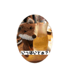 ブッタと田中のスタンプ①（個別スタンプ：16）