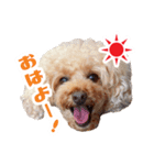 ★あんず＆ライチ★（個別スタンプ：2）